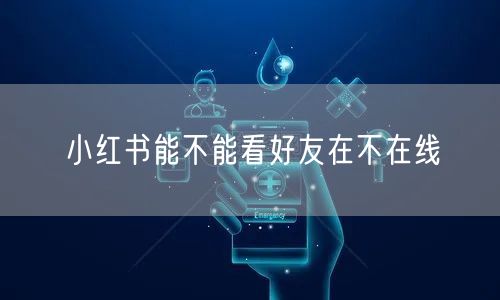 小红书能不能看好友在不在线